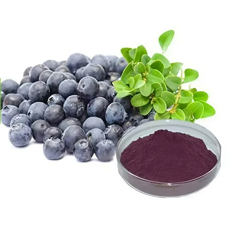 Acai Berry Extract - Grade: Industrial Grade