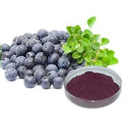 Acai Berry Extract - Grade: Industrial Grade
