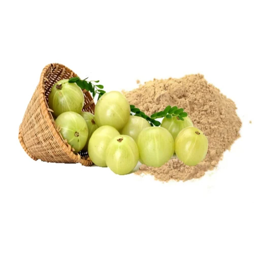 Amla Extract Powder - Moisture (%): <10
