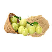 Amla Extract Powder - Moisture (%): <10