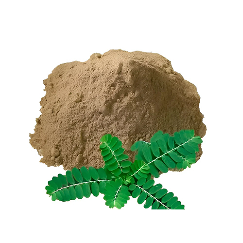 Phyllantus  Niruri Powder - Grade: Industrial Grade
