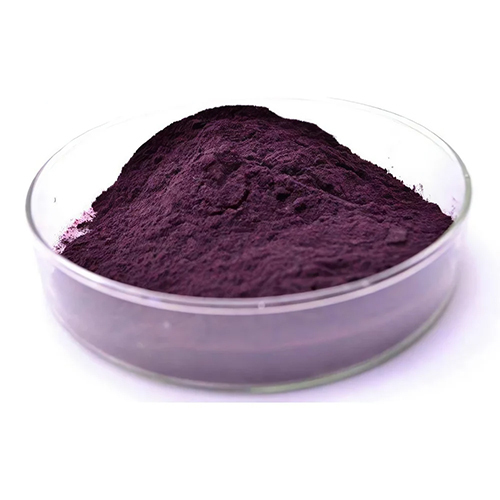Sambucus Nigra Elderberry Extract Powder - Grade: Medicine Grade