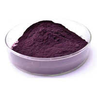 Sambucus Nigra Elderberry Extract Powder - Grade: Medicine Grade