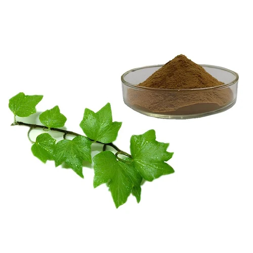 Ivy Leaf Extract - Grade: Industrial Grade