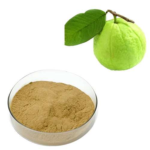 Guava Leaf Extract (4%) Guava Fruit Extract - Grade: Industrial Grade
