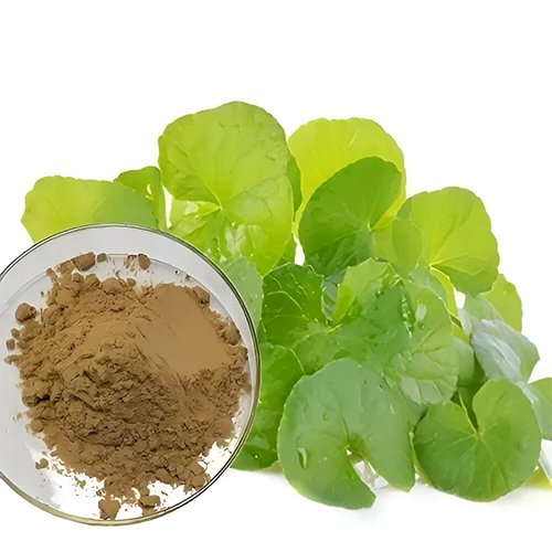 Organic Brahmi Extract