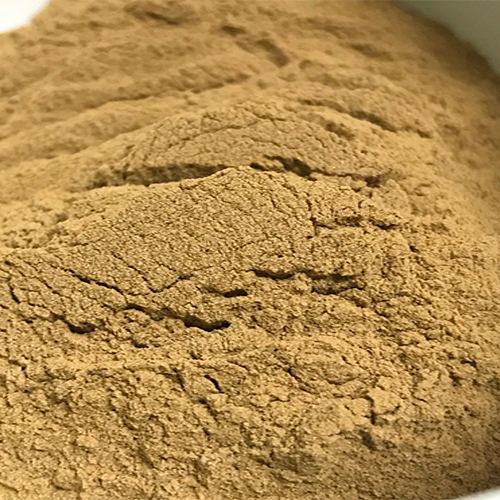 Horse Tail Extract