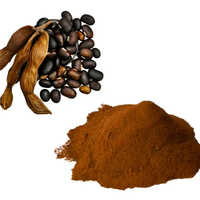 Mucuna Pruriens Extract - Grade: Industrial Grade