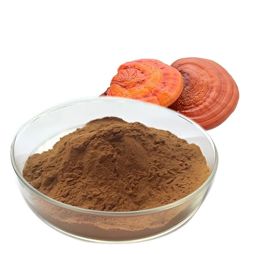 20% Ganoderma Lucidum Extract