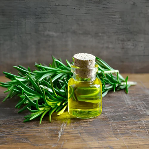 Calamus Essential Oil