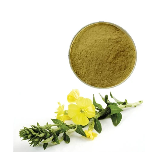Evening Primrose Oil Powder