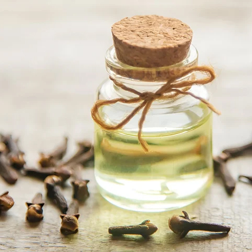 Clove Bud Oil - Odour: Fresh