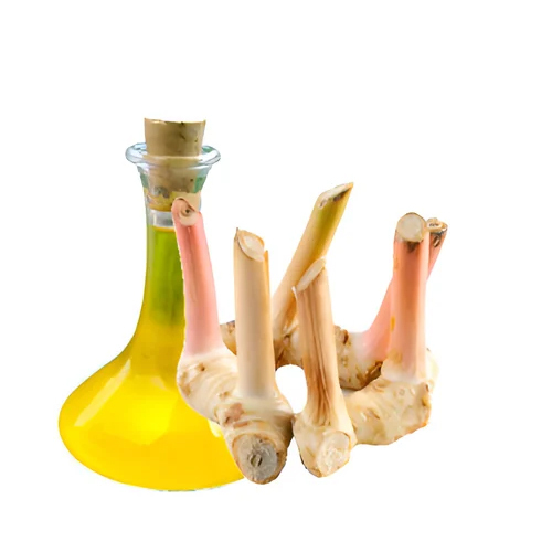 Galangal Essential Oil