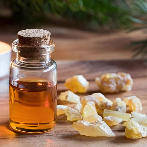 Boswellia Serrata Oil - Odour: Fresh