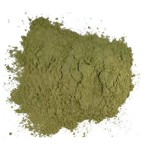 Gymnema Extract Powder
