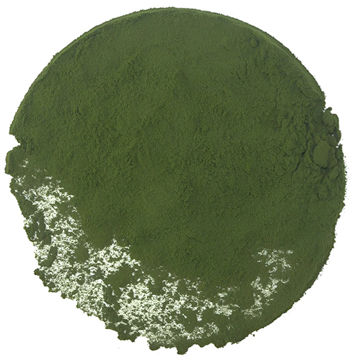 Vitamin B12 0 Point 2Percent Organic Powder