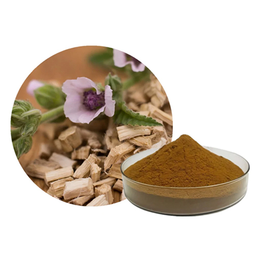 Marshmallow Root Extract Powder - Origin: India
