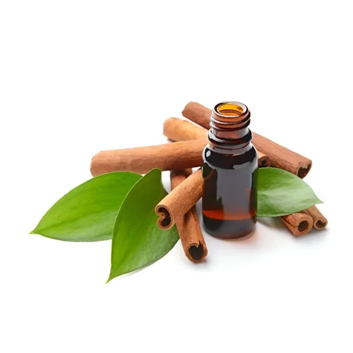 Cinnamon Bark Oil - Odour: Fresh