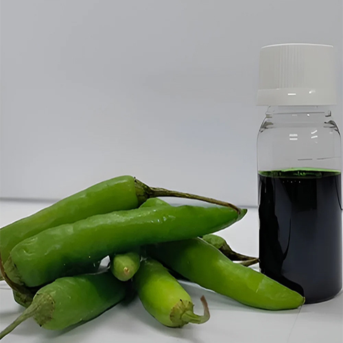 Green Chilli Oleoresin - Odour: Fresh