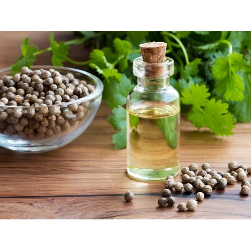 Coriander Leaf Oil - Odour: Fresh