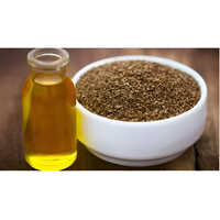 Celery Seed Oil - 100% Purity, 25 Liter Volume | Fresh Odor, Shelf Life Up To 36 Months, Store In Dry Place