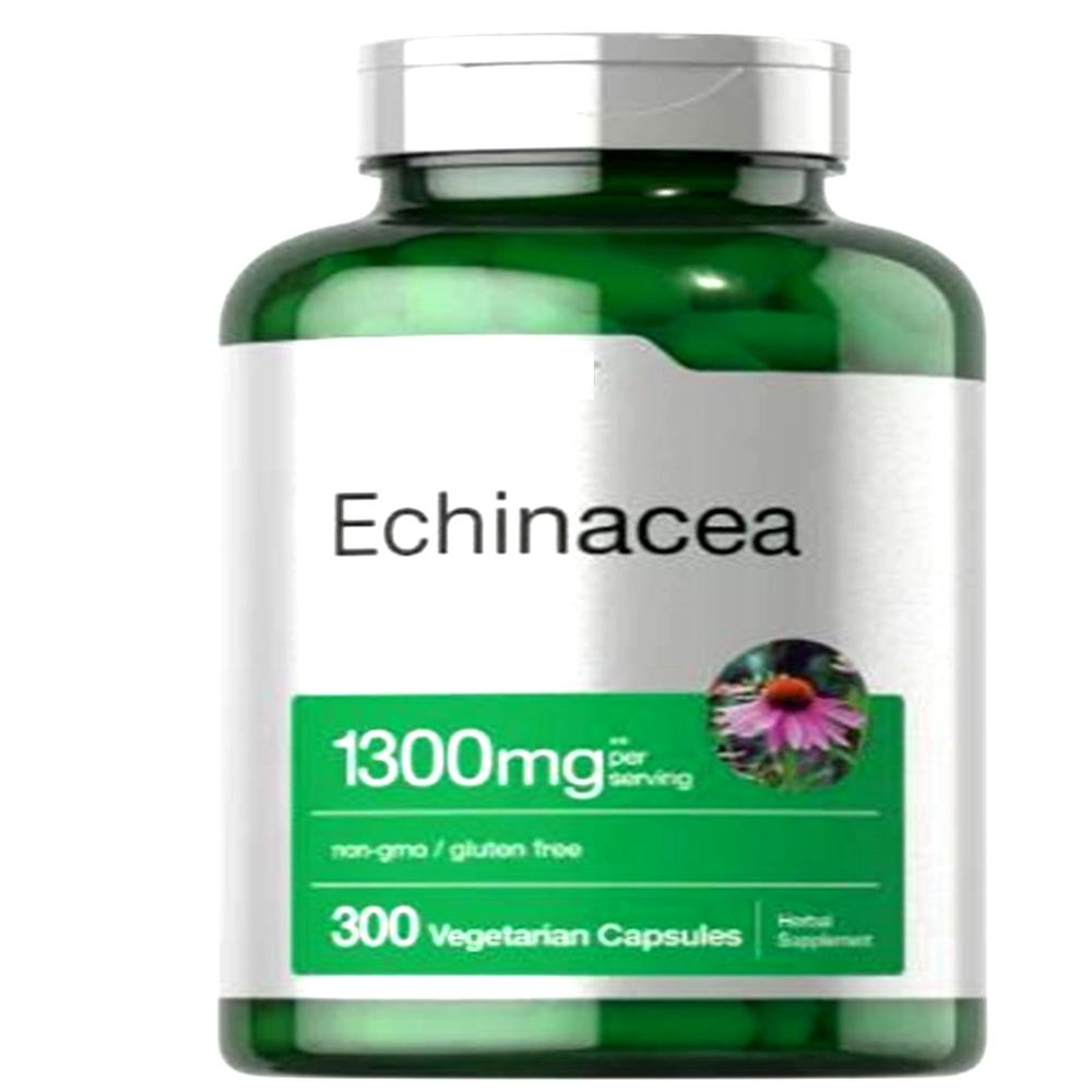 Echinacea extract capsules bulk 120 Capsule