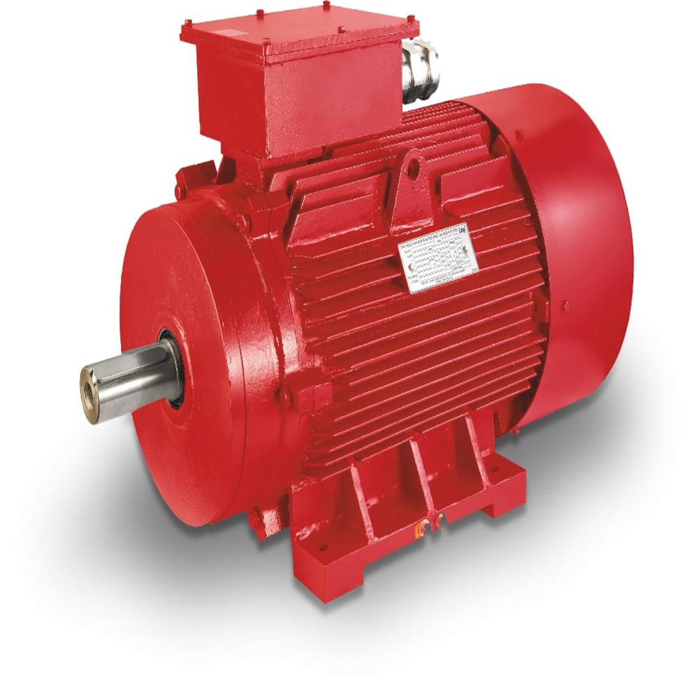 LHP BRAND ELECTRIC MOTORS 