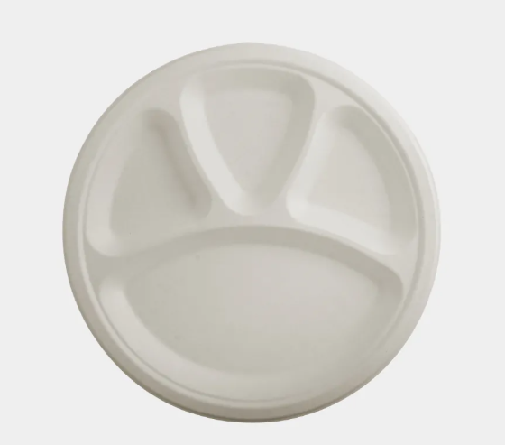 Bagasse Plate 12