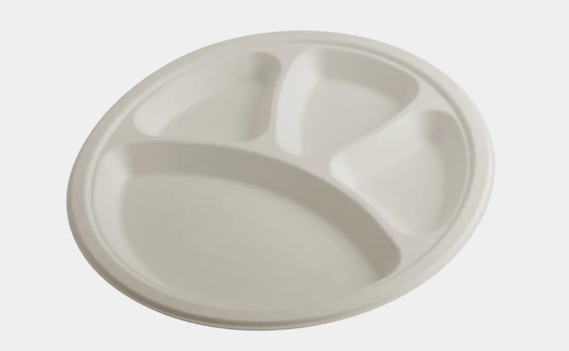 Bagasse Plate 12