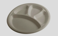 Bagasse Plate 12