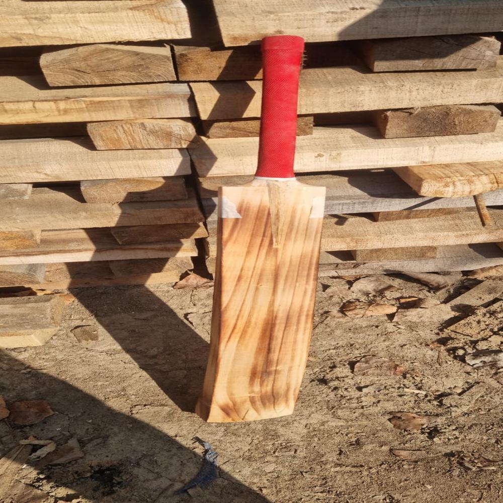 Black Mamba Bats - Age Group: Adults