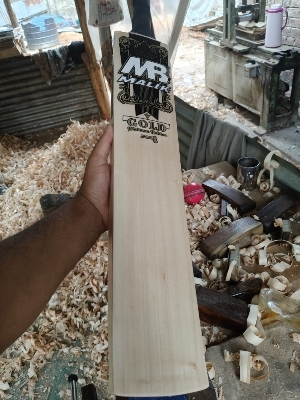 INTERNATIONAL QUALITY LEATHER BATS