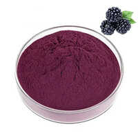 Blackberry Extract - Application: Industrial
