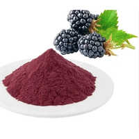 Blackberry Extract