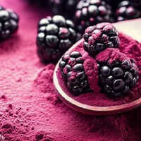 Blackberry Extract