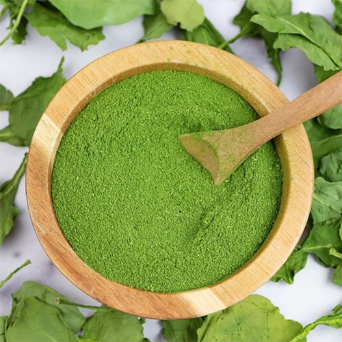 Spinach Extract Powder By Vedagreen Herbals Private Limited