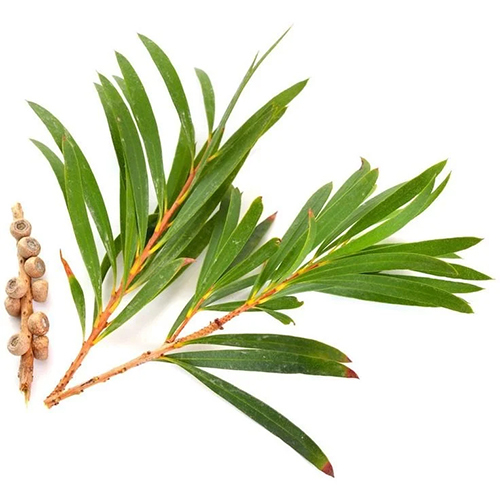 Tea Tree Floral Water