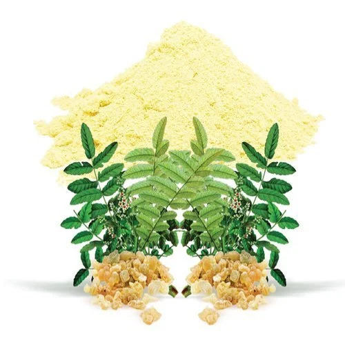 Boswellia Serrata Extract