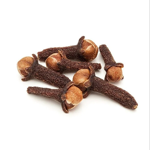 Clove Extract Powder