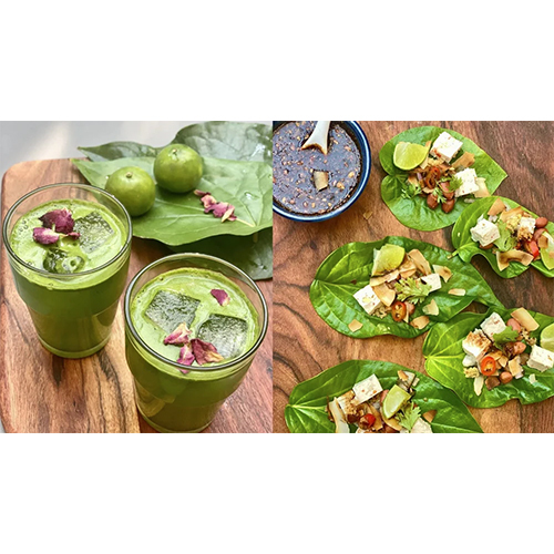 Pan-Bettle Leaf Dry Extract