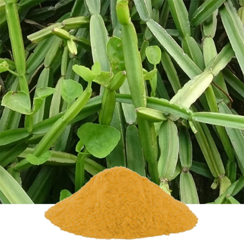 Cissus Quadrangularis Extract - Application: Industrial