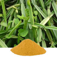 Cissus Quadrangularis Extract