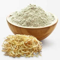 Safed Musli Extracts