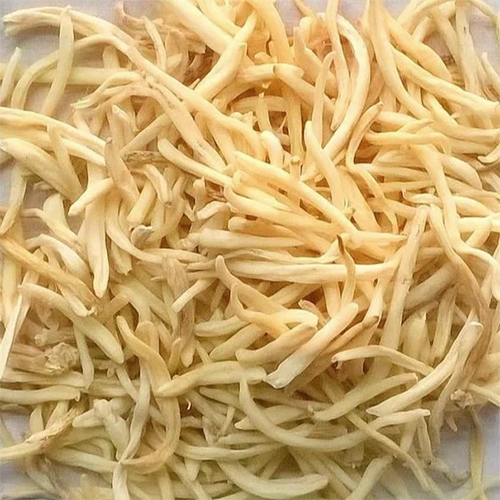 Safed Musli Extracts