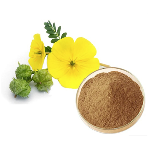 Gokhru Liquid Extract
