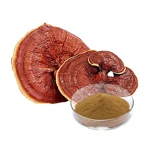 Ganoderma Extract