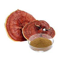 Ganoderma Extract - Application: Industrial
