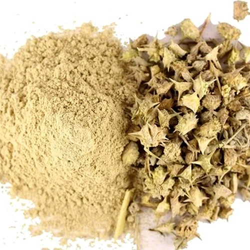 Gokhru Powder