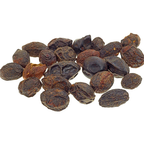 Saw Palmato Dry Extract