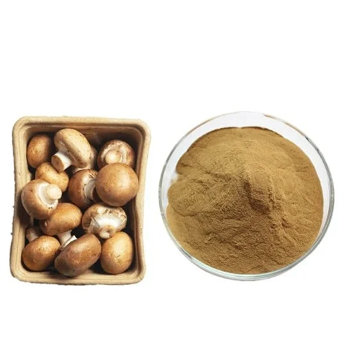 Mushroom Extract